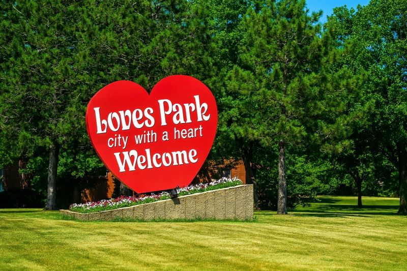 Ant Control Service in Loves Park, IL
