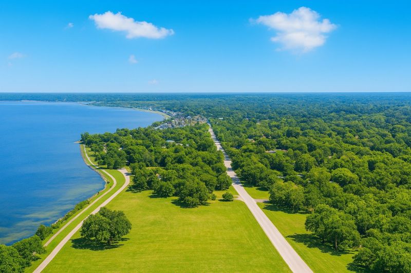 Ant Control Service in Mequon, WI