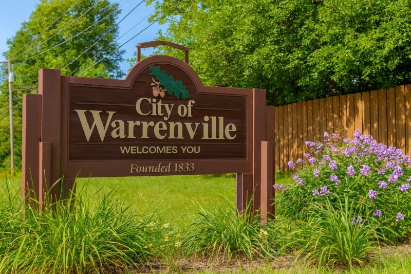 Ant Control Service in Warrenville, IL