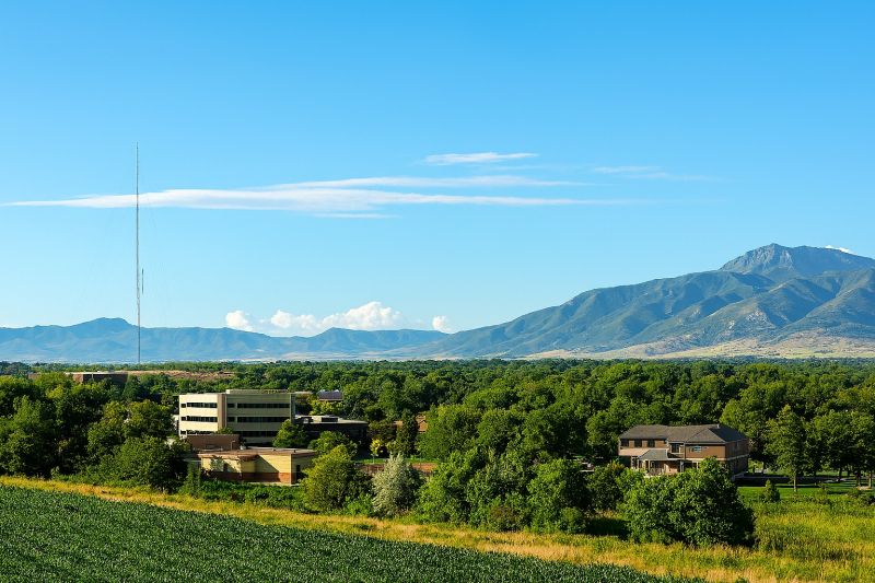 Ant Control Service in Layton, UT