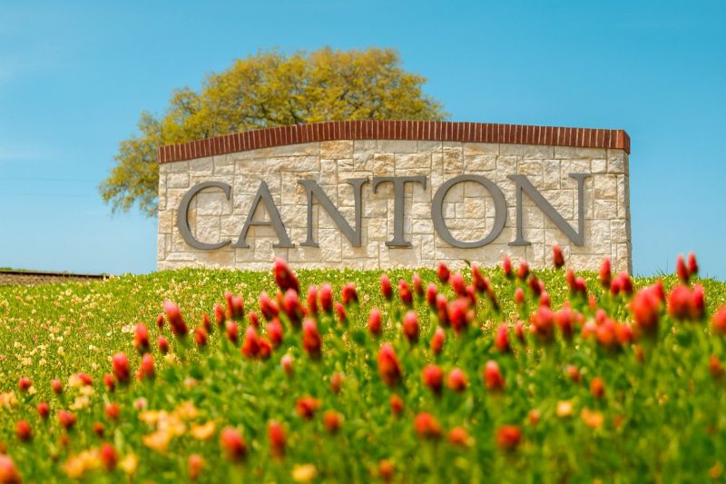 Ant Control Service in Canton, TX