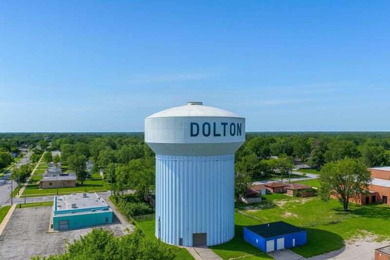 Ant Control Service in Dolton, IL