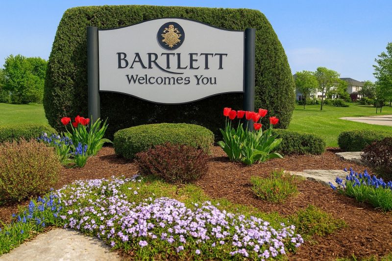 Ant Control Service in Bartlett, IL