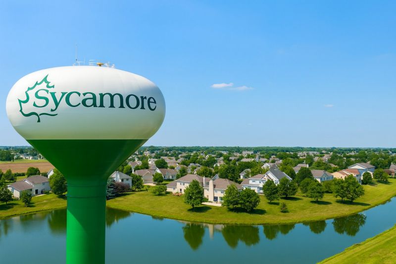 Ant Control Service in Sycamore, IL