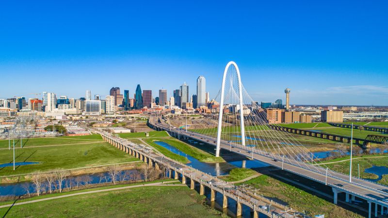 Ant Control Service in Dallas, TX
