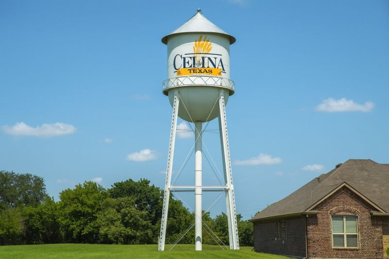 Ant Control Service in Celina, TX