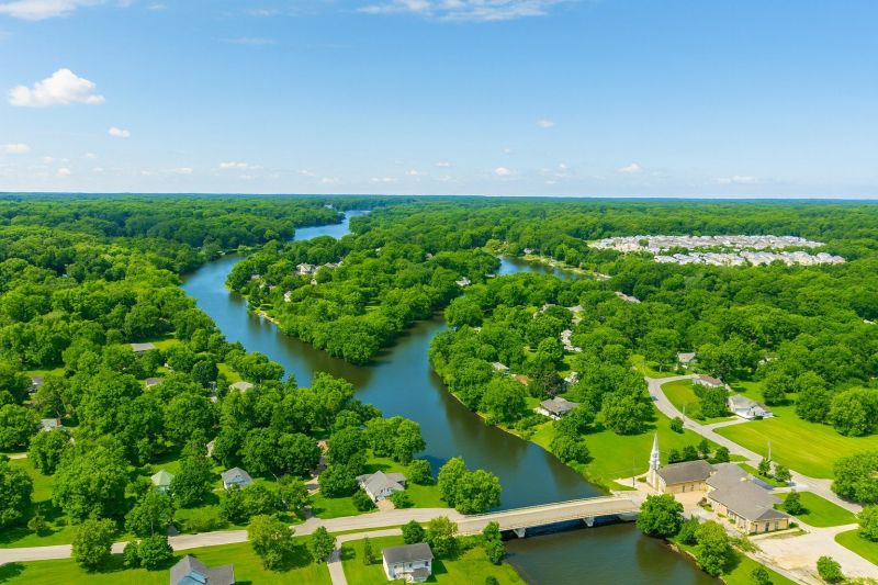 Ants Extermination Service in Waterford, WI