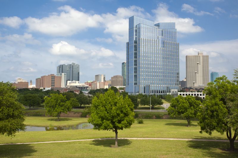 Ants Extermination Service in Fort Worth, TX