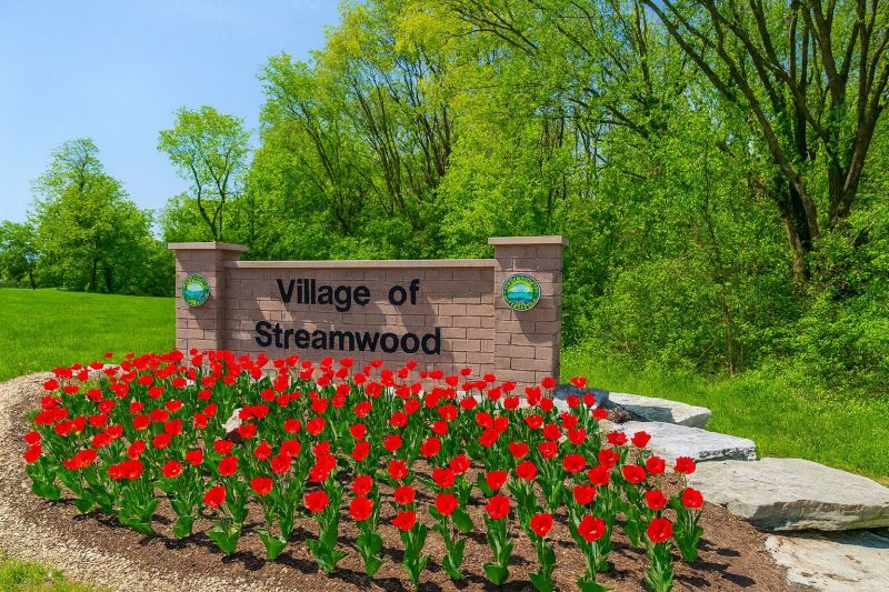 Ants Extermination Service in Streamwood, IL