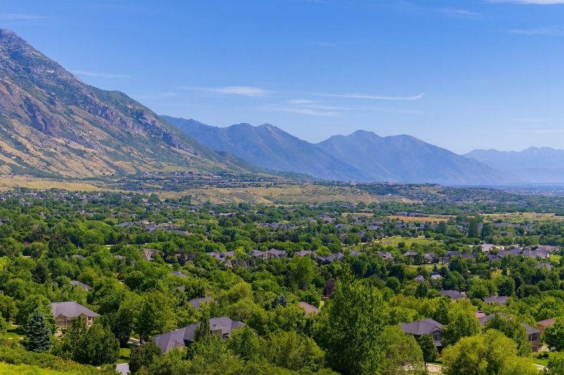 Ants Extermination Service in Alpine, UT