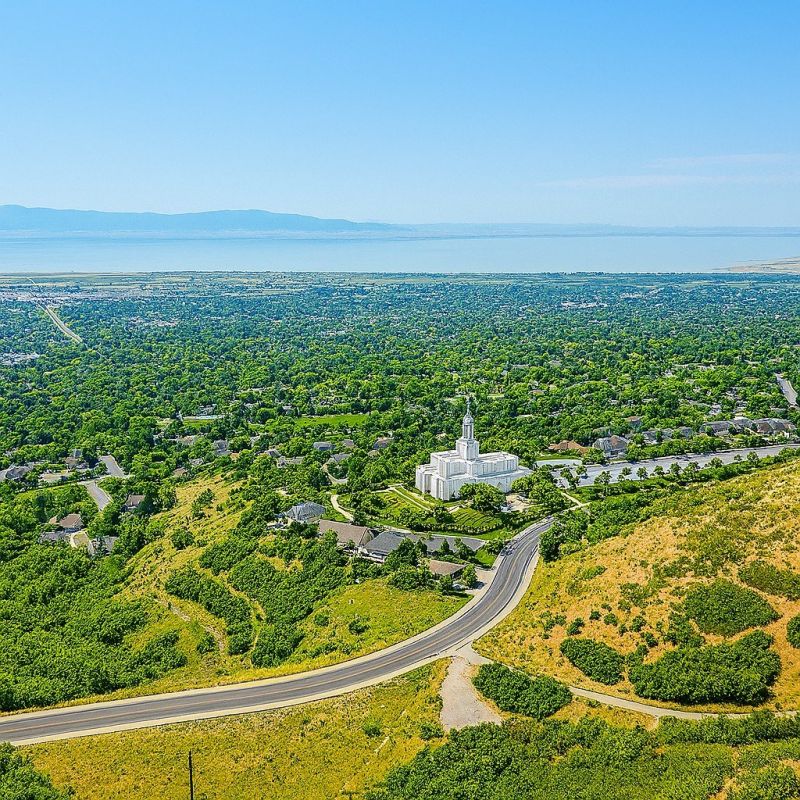 Ants Extermination Service in Bountiful, UT