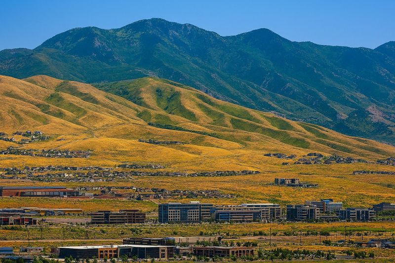 Ants Extermination Service in Lehi, UT
