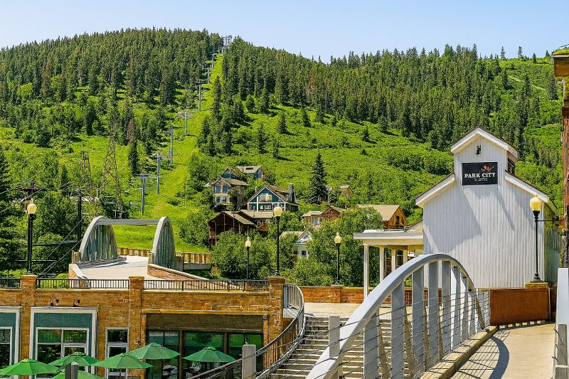 Ants Extermination Service in Park City, UT