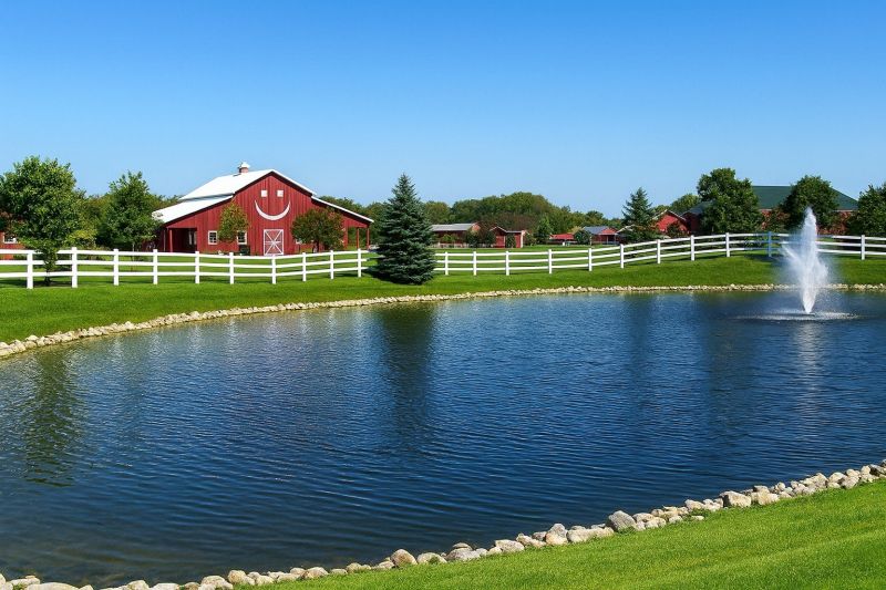 Ants Extermination Service in Colgate, WI