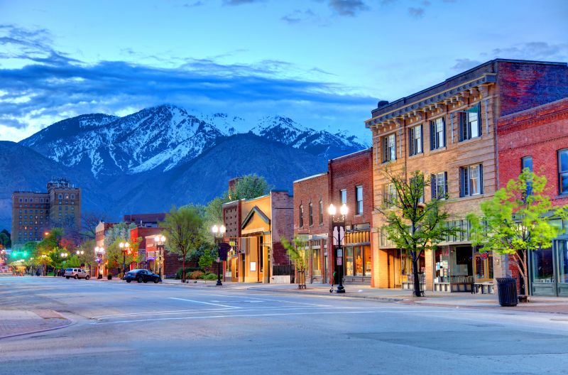 Black Ant Extermination in Ogden, UT
