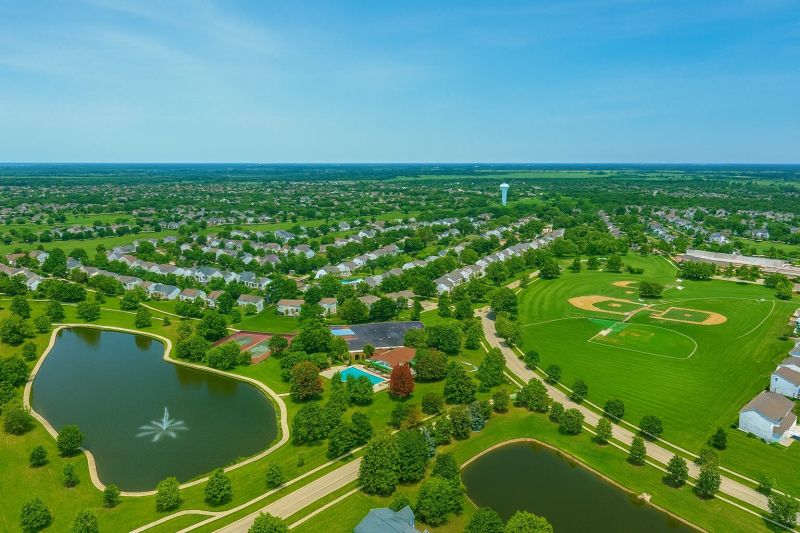 Black Ant Extermination in Romeoville, IL