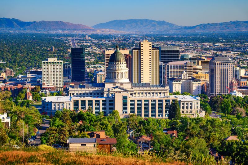 Black Ant Extermination in Salt Lake City, UT