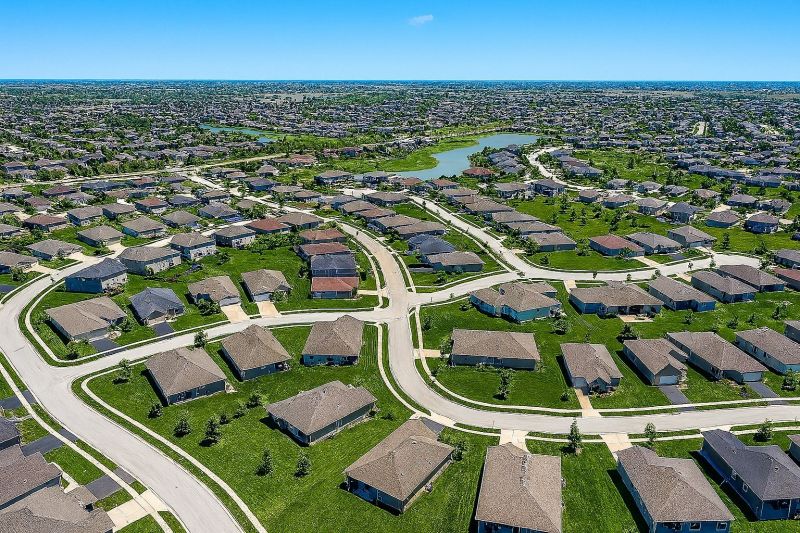 Black Ant Extermination in New Lenox, IL