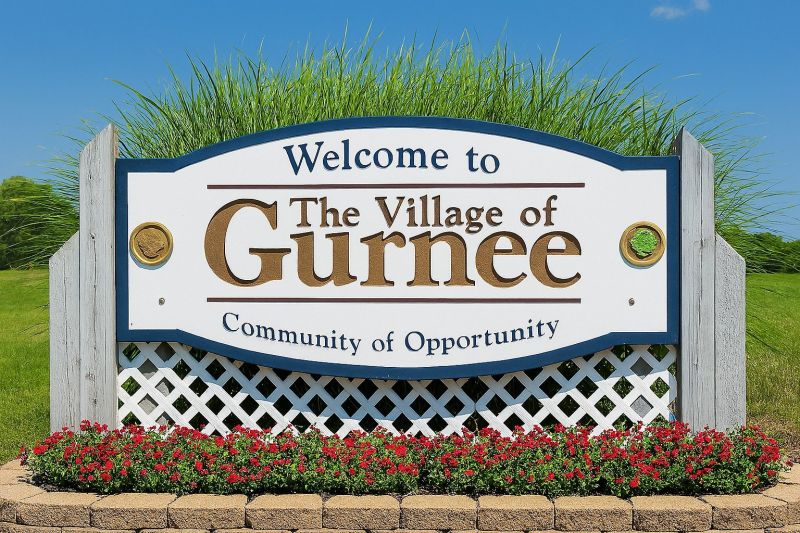Carpenter Ant Extermination in Gurnee, IL
