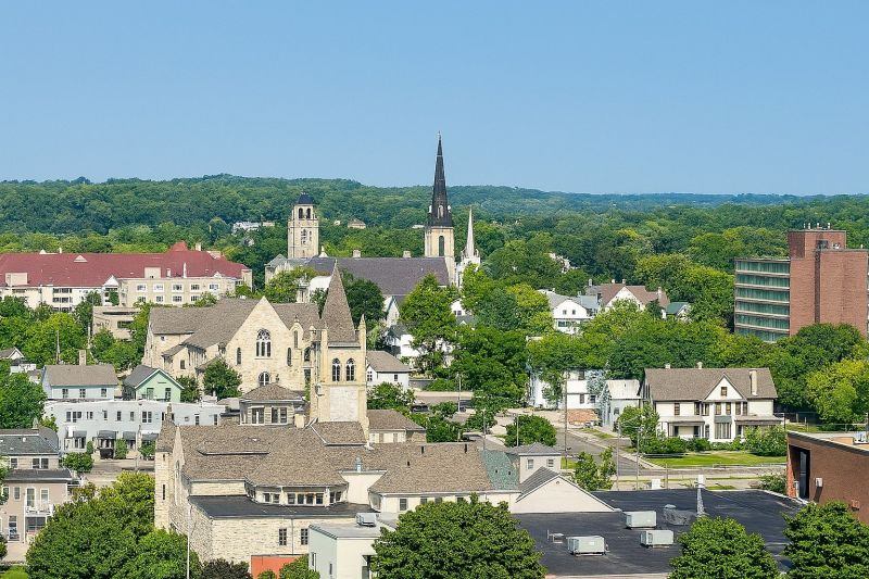 Carpenter Ant Extermination in Waukesha, WI