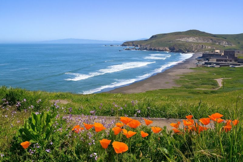 Chimney Inspection Service in Pacifica, CA