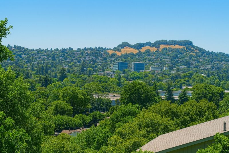 Hardwood Replacement in Castro Valley, CA