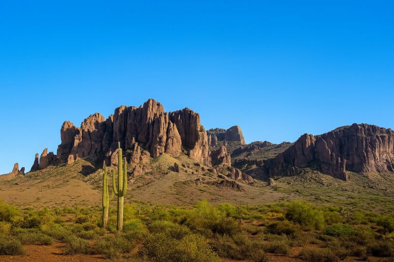 Hardwood Replacement in Apache Junction, AZ