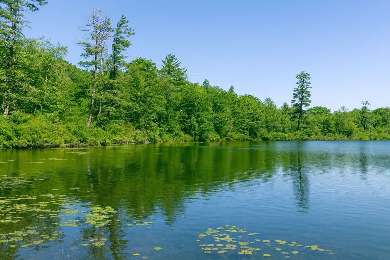 Reverse Osmosis Installation in Lake Ariel, PA