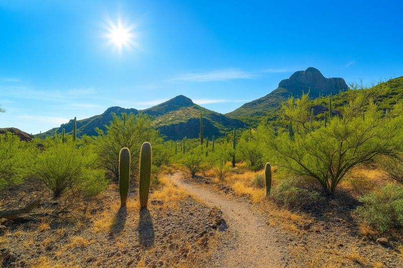 Sink Water Filter Service in Marana, AZ