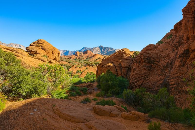 Water Treatment Service in Ivins, UT