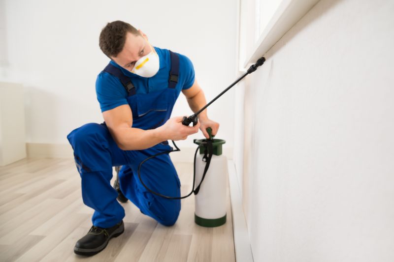 Ants Extermination Service