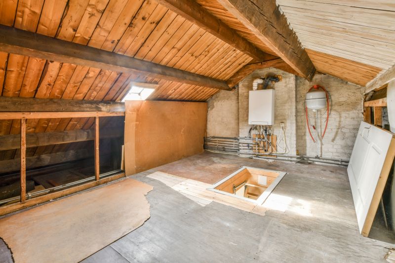 Attic Expansion