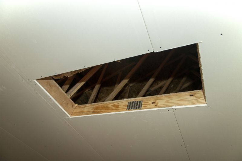 Attic Renovation