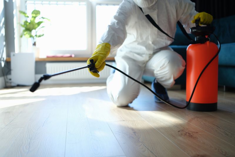 Black Ant Extermination