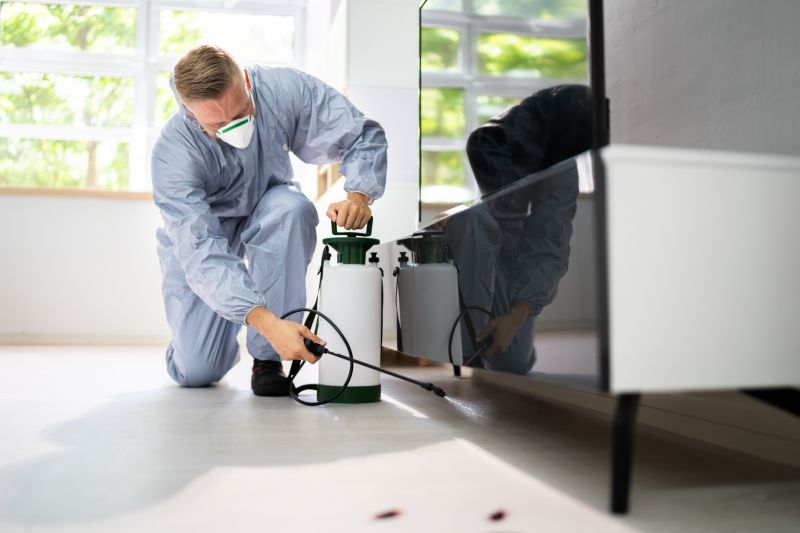 Carpenter Ant Extermination