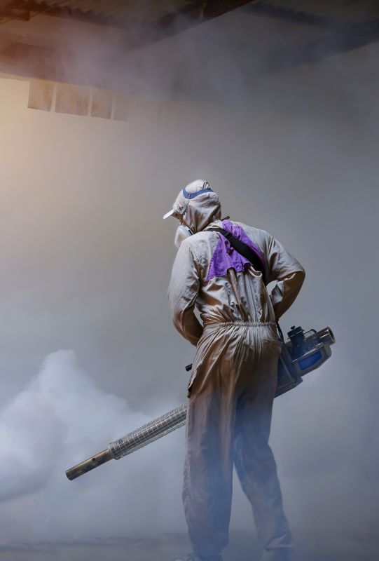 Flea Fumigation