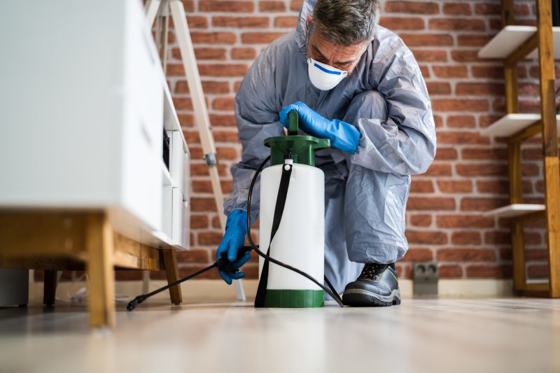 Flea Fumigation