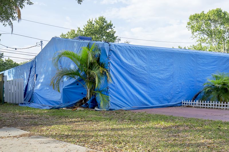Flea Fumigation