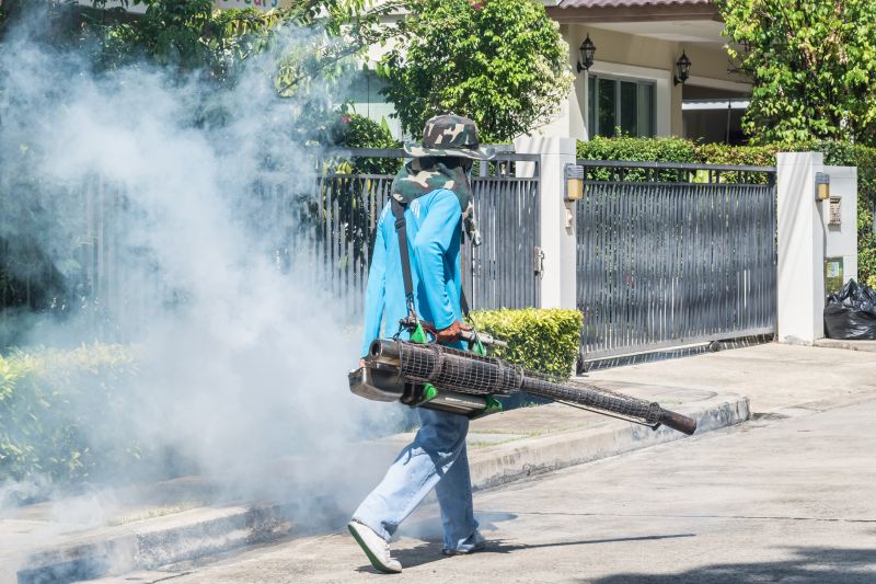 Flea Fumigation