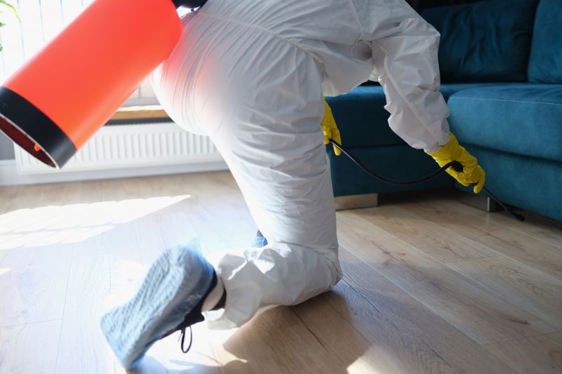 Insect Control Service