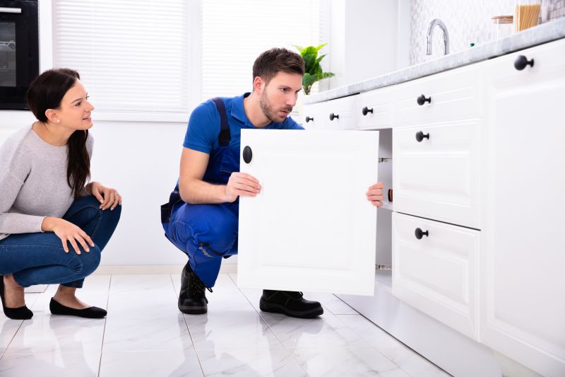 Kitchen Cabinet Replacement