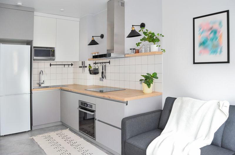 Kitchen Modernization