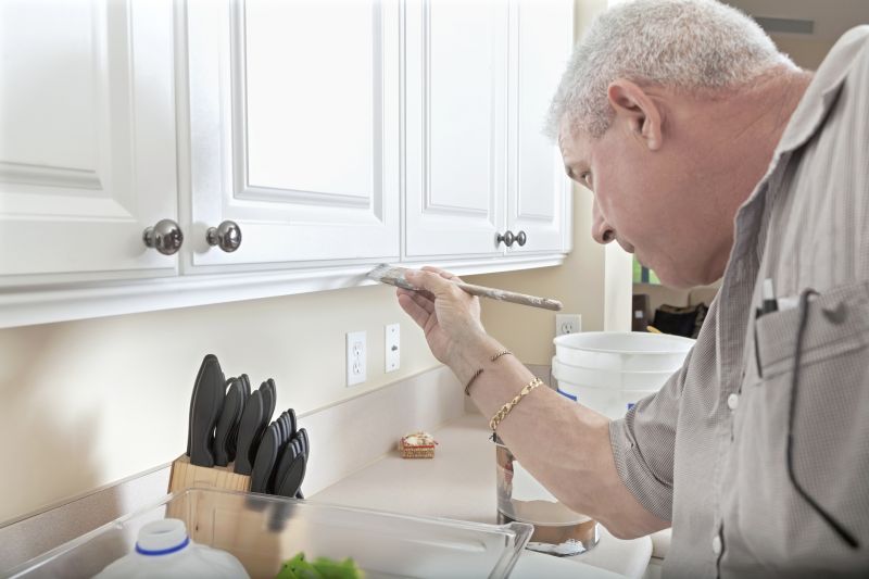 Kitchen Painting