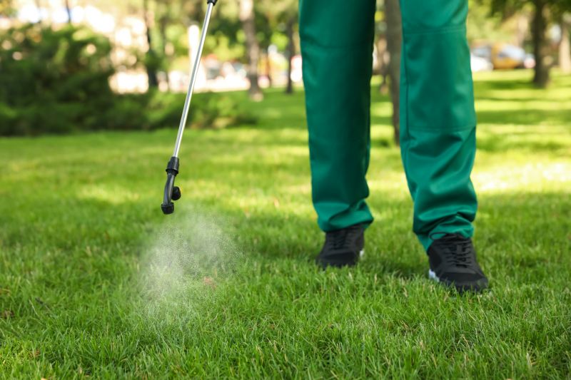 Lawn Weed Treatment Service