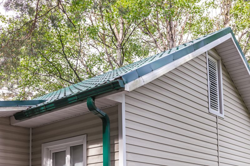 Metal Siding Replacement