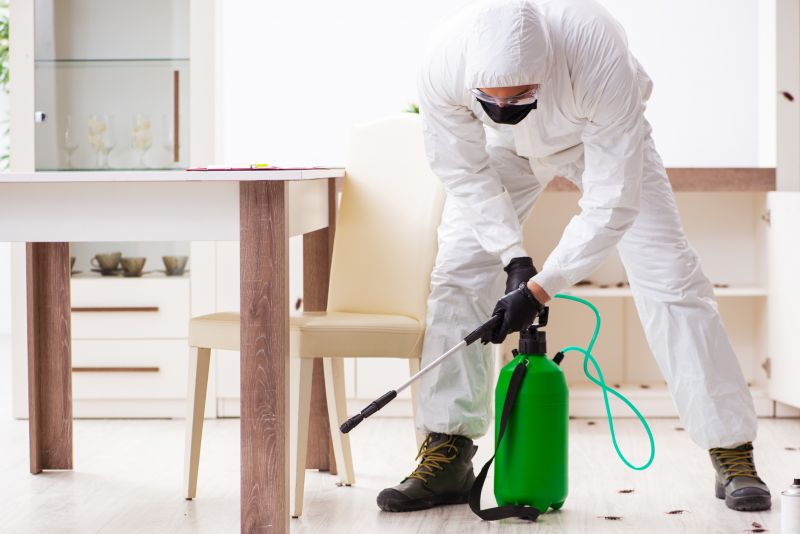 Pest Control Service
