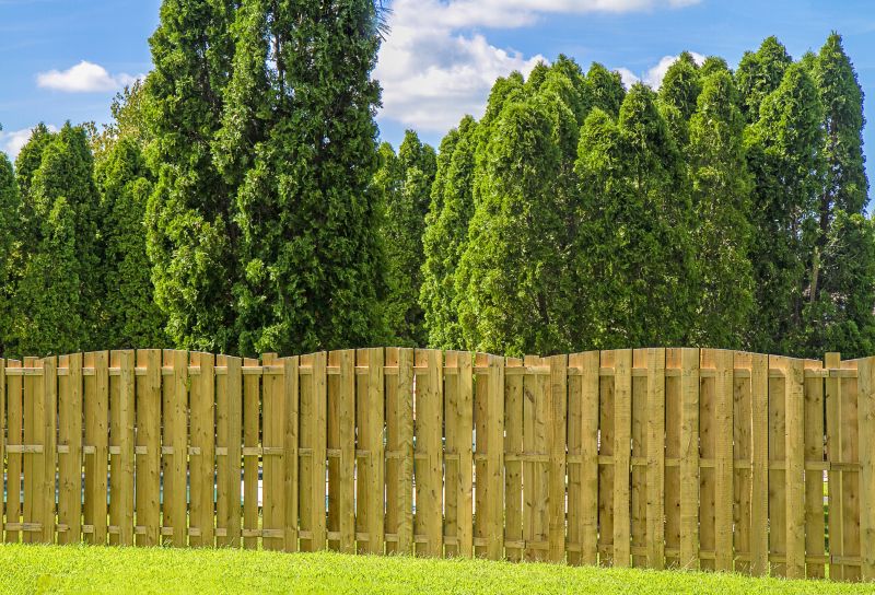 Privacy Fence Installation