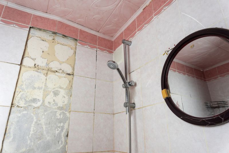 Shower Remodeling