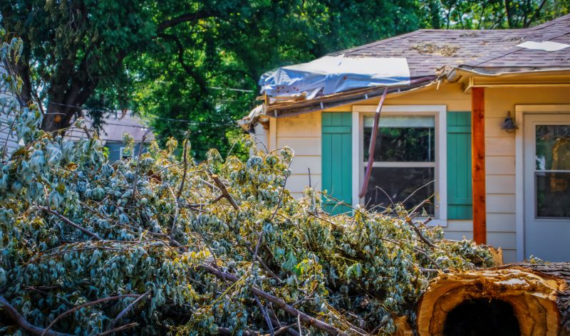 Storm Damage Cleanup