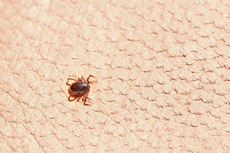 Tick Control Service